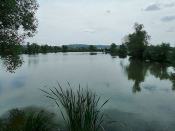 Z Ostrožské Nové Vsi do Zlatnícke doliny a přes Skalicu zpět